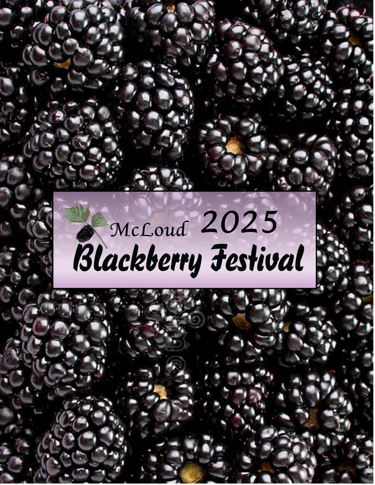 2025 Blackberry Festival "PRESENTING LEVEL SPONSOR"
